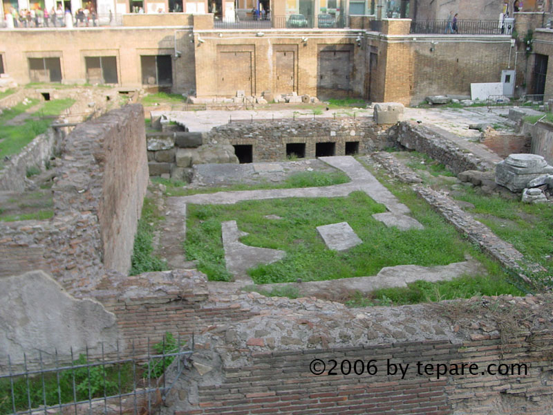 monumenti di Roma, gatti al sole d'' Ottobre